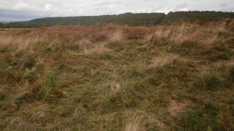 Beeley Moor Bronze Age Enclosure Misc. Earthwork : The Megalithic ...