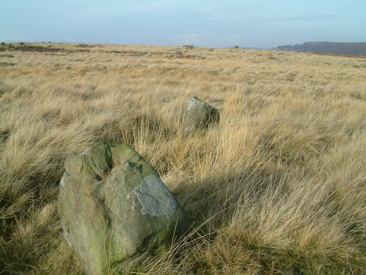 Here's a picture of the supposed 2 stones of Gibbet Moor North North located about 400m norht of the Gibbet moor North four poster.

It wouldn't surprise me if there's still plenty to find out in the heather still......