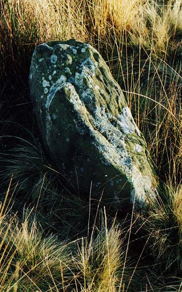 A close up of the third of the stones of the Four Poster, stone circle of Gibbet Moor North at GR: SK28217085