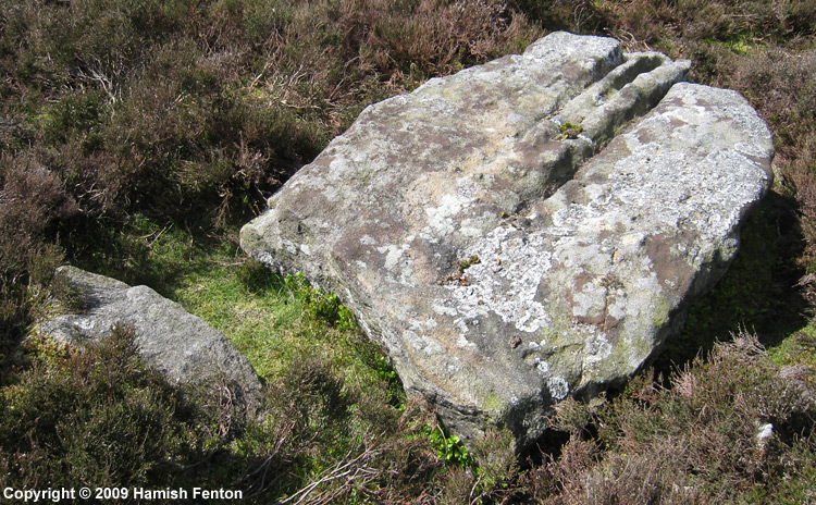 The Old  Woman Stone