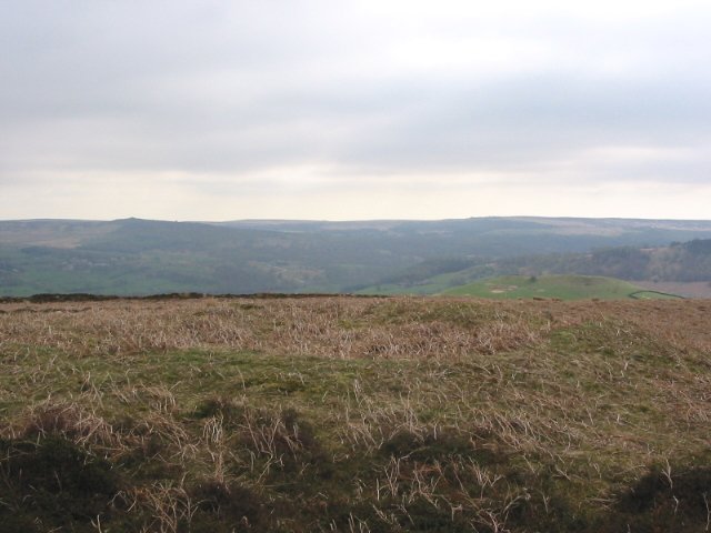 SK213805. The grass bump that is the Eastern circle on Offerton Moor. The Larger Western Circle is within 100ft although the low banking can be hard to see in summer.