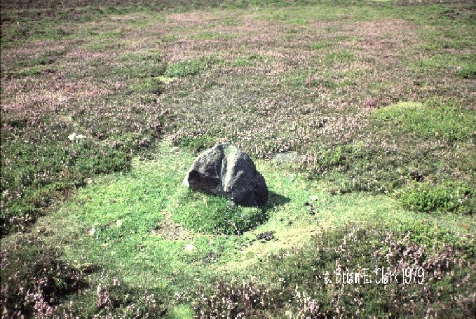 Small Standing stone
 (1979)