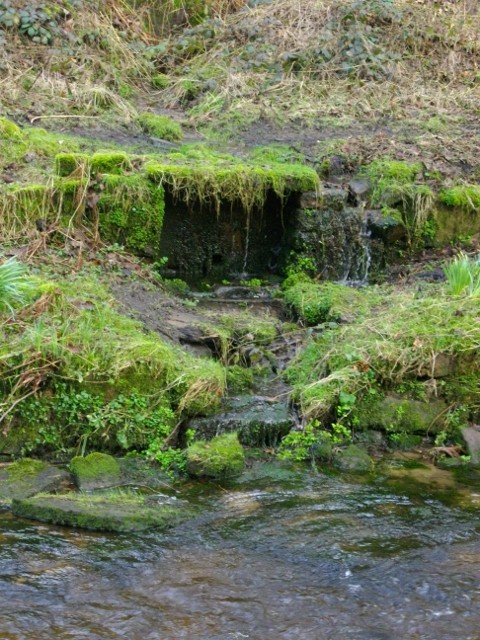 The Whitworth Well emptying into the River Sett.