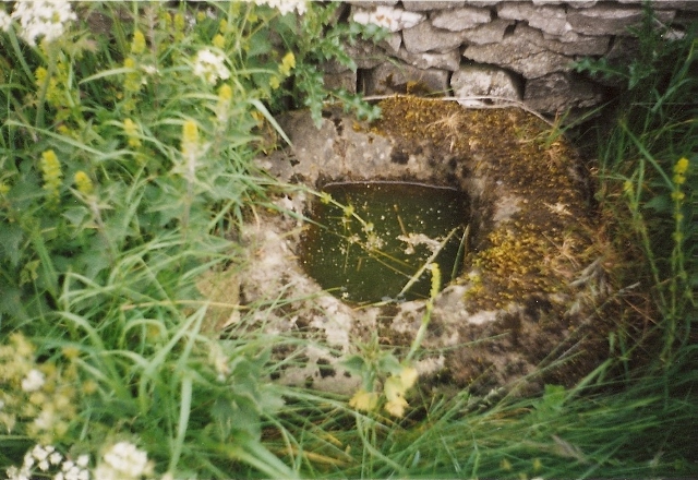 Wishing Well