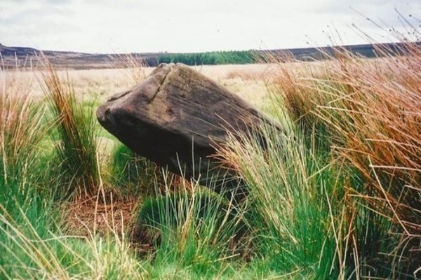 A stone of Park Gate stone circle.