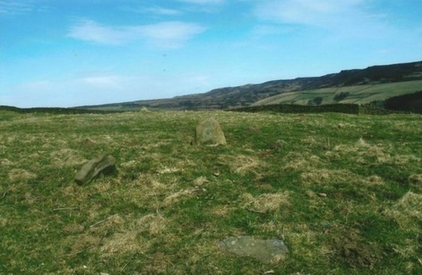 Crook hill stone circle/kerb cairn. You can see 2 standing stones and 1 fallen one in this photo.