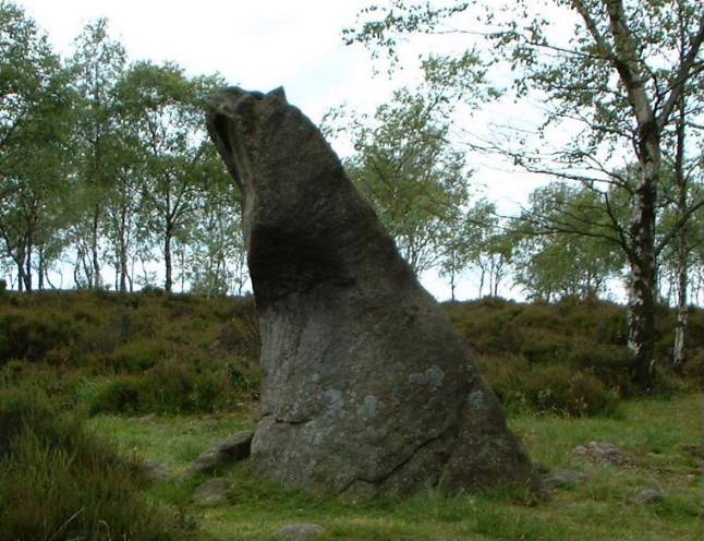 We visited this splendid standing stone