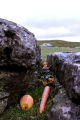 Arbor Low 1 - PID:133336