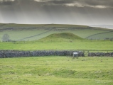 Arbor Low 1 - PID:117554