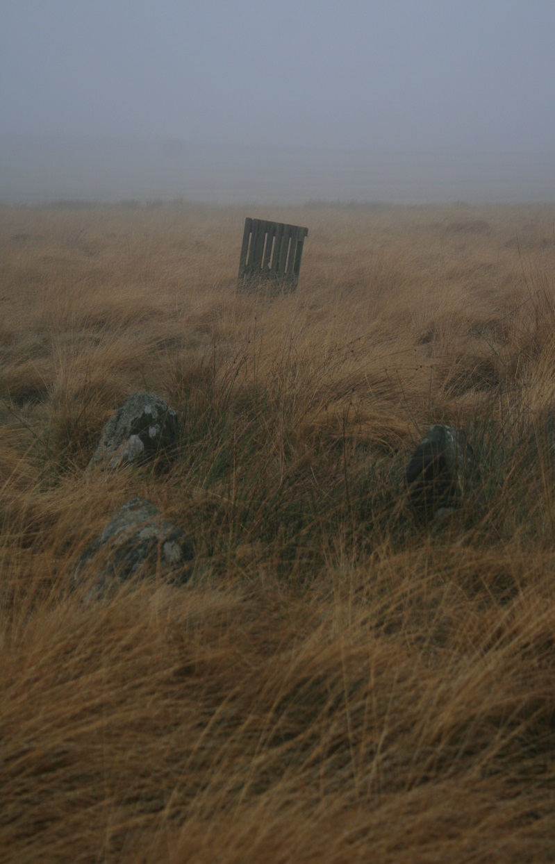 Gibbet Moor north by pallet no4