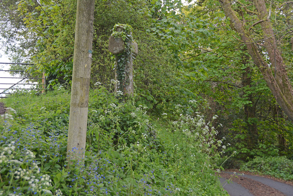 Standing just to the west of the cross, looking at its location just above the road (its socket stone is hidden in ivy and brambles). The minor road just in front of the cross (to the right hand side of the photo) eventually joins up with a minor road called Yard Hill. To its right is a steep drop down to a babbling stream - a comforting sound in this shady spot.