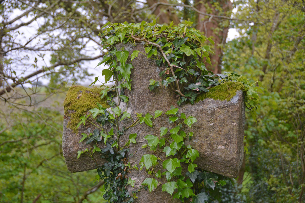 Close up of the 'back' face of the cross head, showing the chamfering on the arms, with part of the octagonal shape to the arms. This wayside cross is well preserved and very visible at this cross roads.
