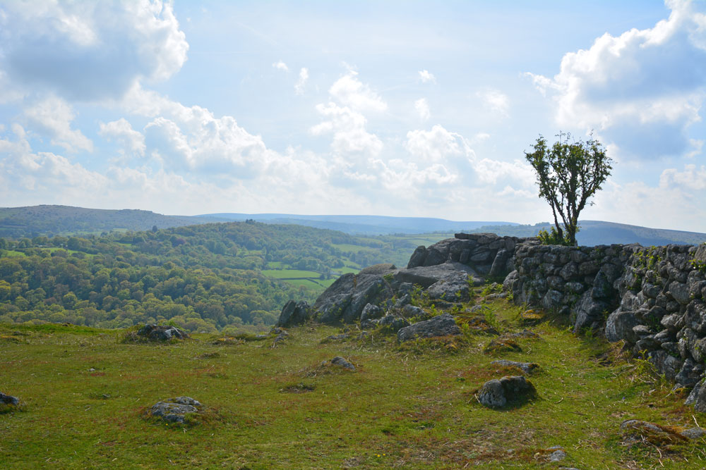 Having followed the bridlepaths up the hill, a gate let us into the hillfort site. At its northern end there is a large outcrop of rock with an almost balanced rock. The views to the north and west were superb. Walking up, there were also extensive views to the east, but these were largely obscured by trees and the long dry stone field wall once we reached the top of the hill. 