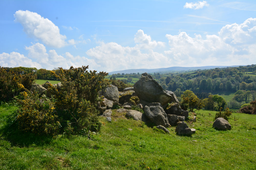 Virtually dominating this small cist is a large dump of boulders and stones, some now grass covered, centred on SX 72483 86872. On closer inspection this is probably just a clearance cairn.  Certainly no details on Pastscape or HE.