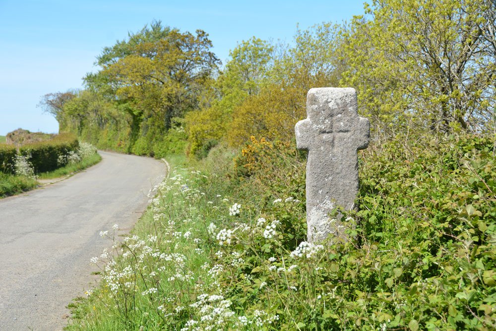 Ringhole Copse Cross