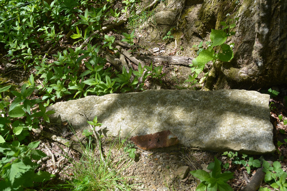 A closer look at this tapered stone, lying close to the grid reference point. The fact it had been left (carefully?) by the tree, as opposed to having been deposited roughly with other lumps of stone nearby indicated it might have been important and set aside for a reason.