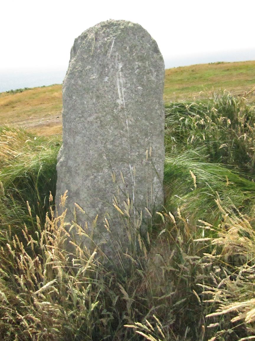 The stones are surrounded by tall grass and the inscriptions barely visible when visited in July 2013. The two smaller stones are completely obscured.

This is 