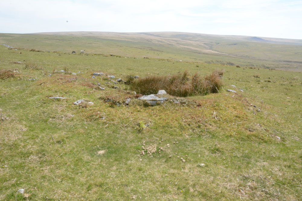 One of the cairns which can be found just to the south of the north- western most enclosure, to the west of Drizzlecombe Cairn 18. In Butler's plan 