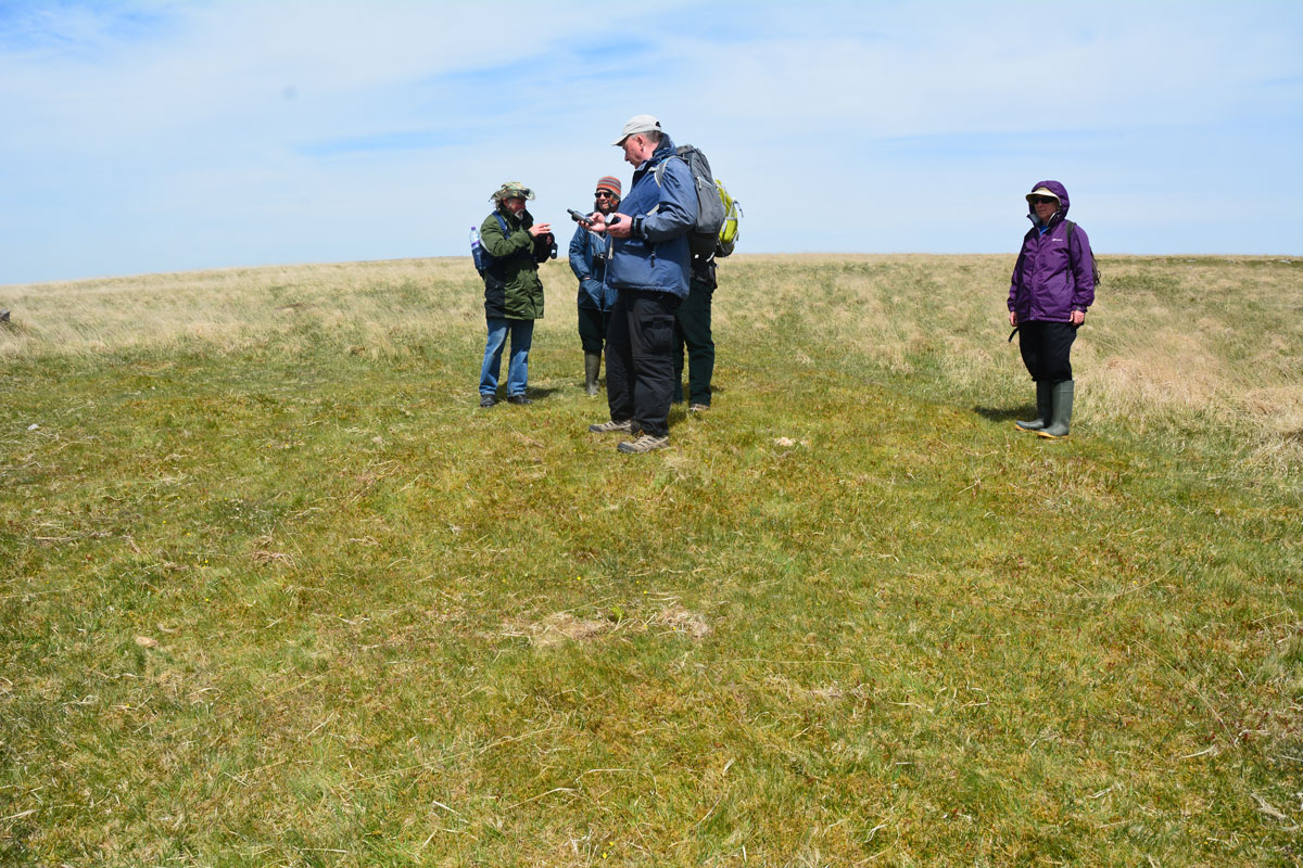 The stone is just above centre, right on the left hand side of the image. Here are Sandy's Intrepid Dartmoor Expedition group debating whether this large, circular structure, which has stones within it (is our standing stone part of an outer kerb?). It stands out from the rest of the pasture as the grass is shorter, darker green, and forms a circular structure. From left to right: Gordon Fisher, S