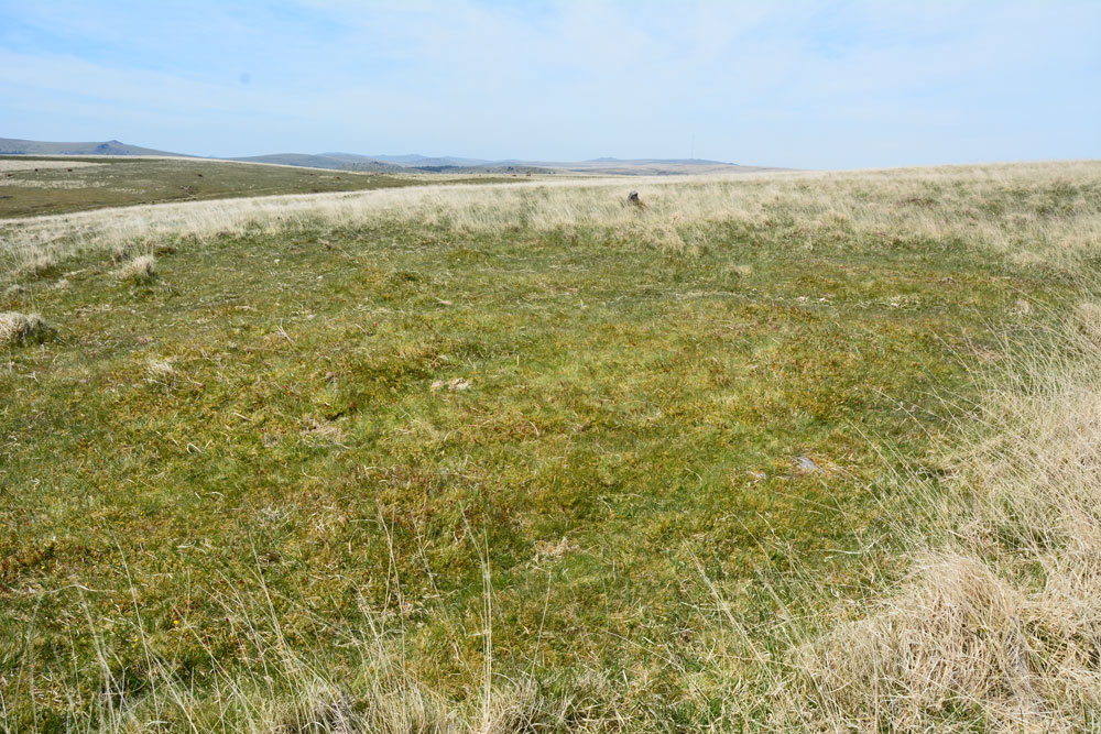 The cairn/circular structure near the standing stone, which can be seen just above centre, in the upper right hand quadrant - a grey shape just poking out of the grass. The circular shape of this cairn can be clearly seen. I understand Sandy G intends going back to take a closer look at this area later in the year.