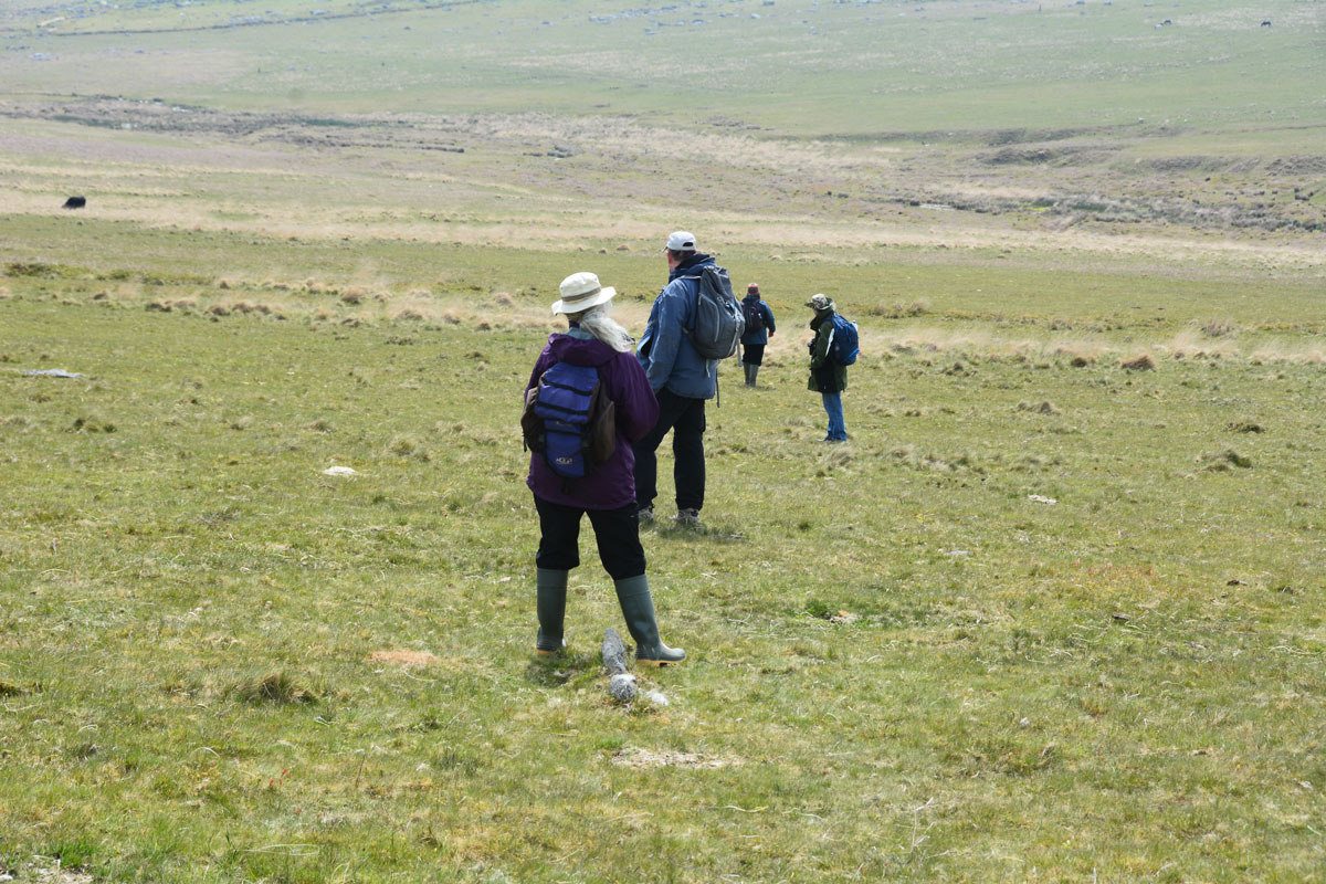 In trying to identify this elusive row, Sandy asked members of the group to stand on stones they thought might be part of the stone row. From foreground to background: Janet Daynes, Dave Parks (Prehistoric Dartmoor Walks), Gordon Fisher (just off to the right) and Sandy G. Sandy G is walking down the line of stones. He is planning a return trip later in the year to take a closer look.