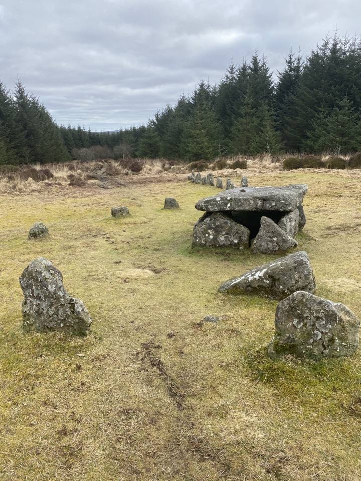 Lake Hill east circle
and cist - what is noticeable
is how much closer an bigger the plantarion trees are … its just in a small clearing now and has t got the views it had of the Tor