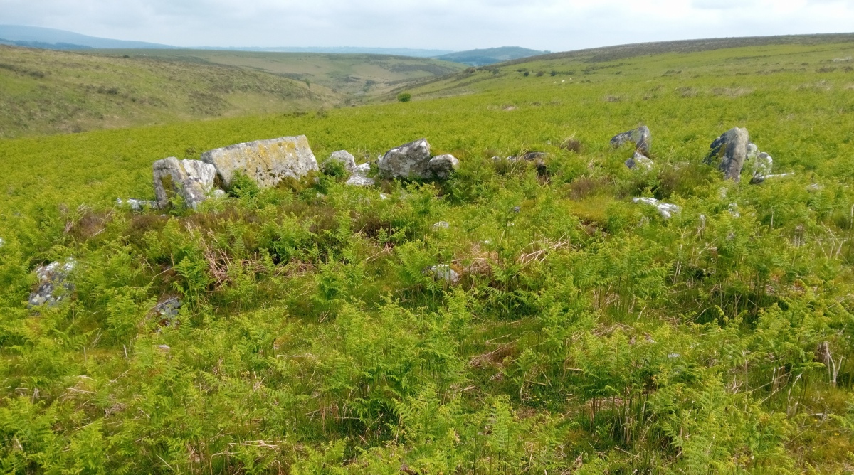 Shapley Common