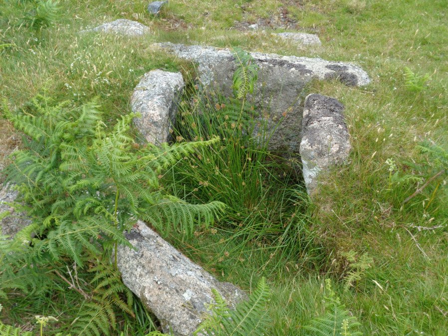 The Lee Moor (Willings Walls) Cist from the Prehistoric Dartmoor Walks (PDW) website. Photograph taken 23rd June 2017