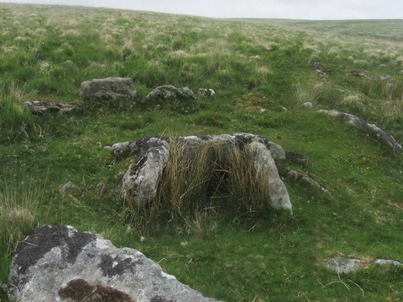 Deadman's Bottom South Cist, Listed by Lethbridge as Cist D and Butler as Cist 1, which 