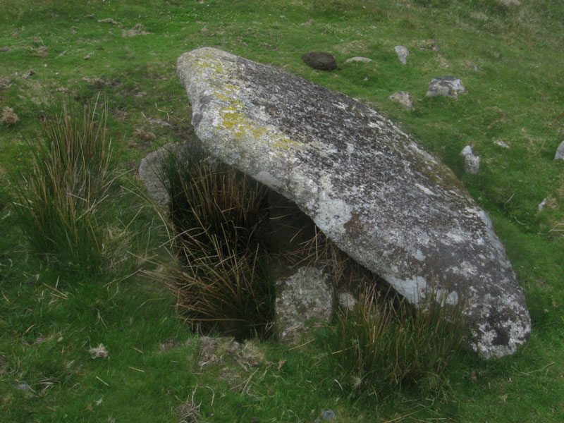 Calveslake Cist, submitted on behalf of Prehistoric Dartmoor Walks.