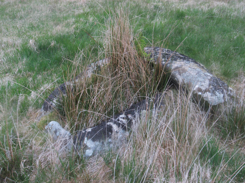 The Roundhill East of Summit Cist, submitted on behalf of Prehistoric Dartmoor Walks.