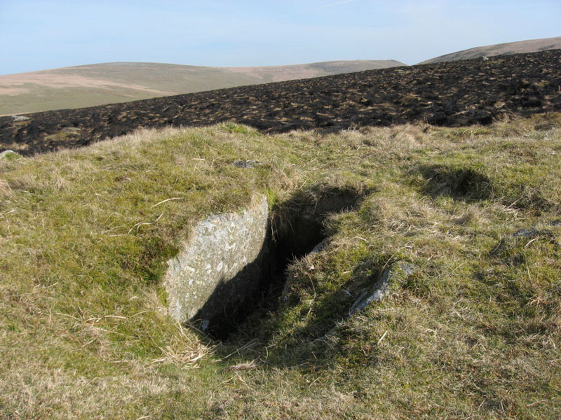 The Stalldown North Platform Cairn Circle and Cist, submitted on behalf of Prehistoric Dartmoor Walks.