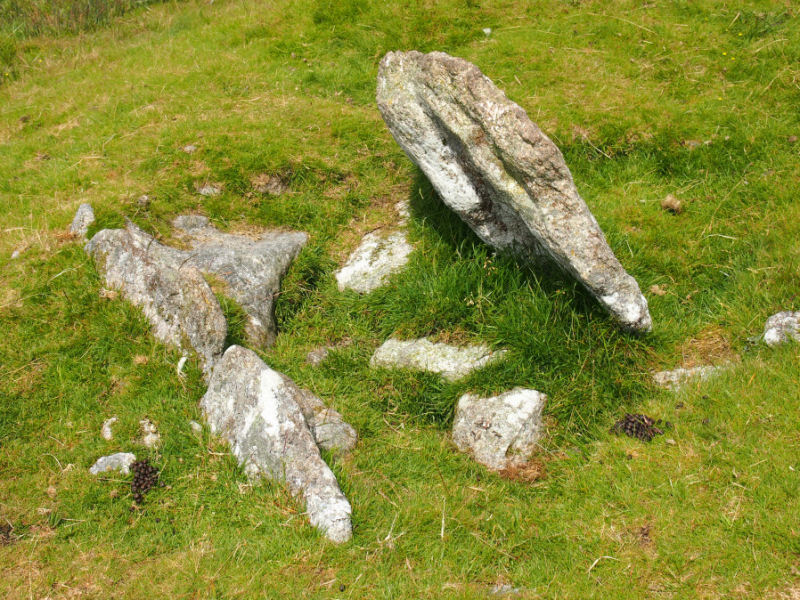 The Leedon Cist, near Sheepstor, submitted on behalf of Prehistoric Dartmoor Walks.