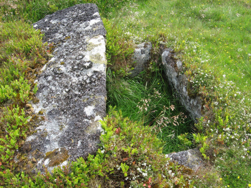 The Stennan Hill 1 Cist, submitted on behalf of Prehistoric Dartmoor Walks.