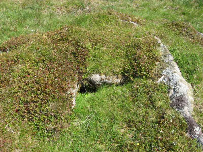 The Harrowthorn (north of) cist, submitted on behalf of Prehistoric Dartmoor Walks.