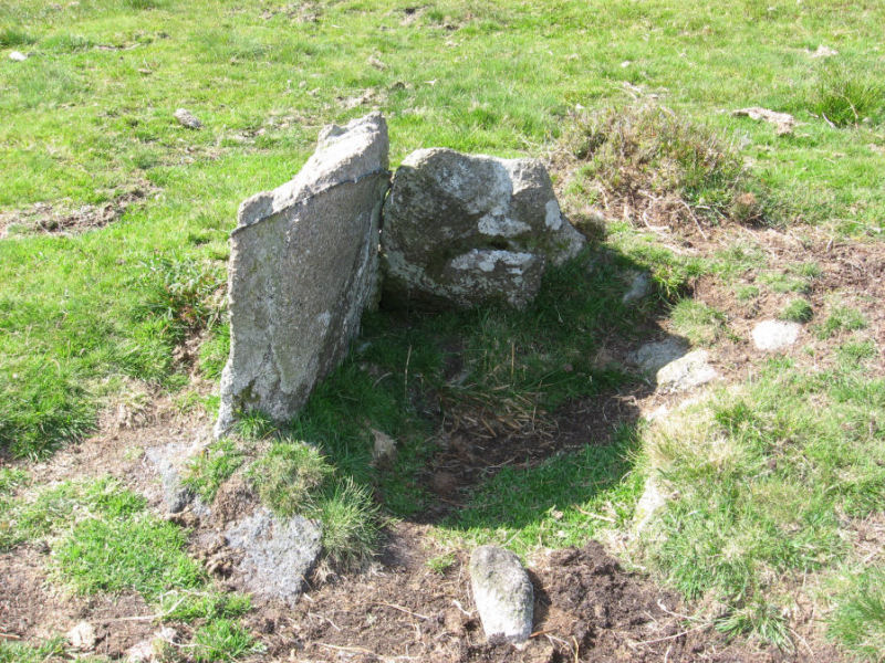 The Ranny Brook North Cist, submitted on behalf of Prehistoric Dartmoor Walks.