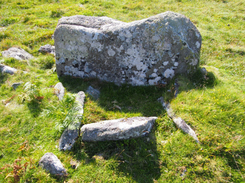 The Holne Ridge North cist, submitted on behalf of Prehistoric Dartmoor Walks.