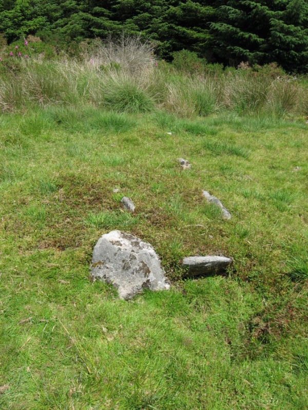 Hemstone Rocks Ring Setting Cairn and Cist at grid reference SX6485383848, submitted on behalf of Prehistoric Dartmoor Walks. Their notes say there are three cairns in the same vicinity, two of which are shown on the OS map, within 40 metres of each other.