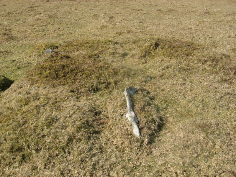 The two slabs of Hickley Ridge Central cist, submitted on behalf of Prehistoric Dartmoor Walks.