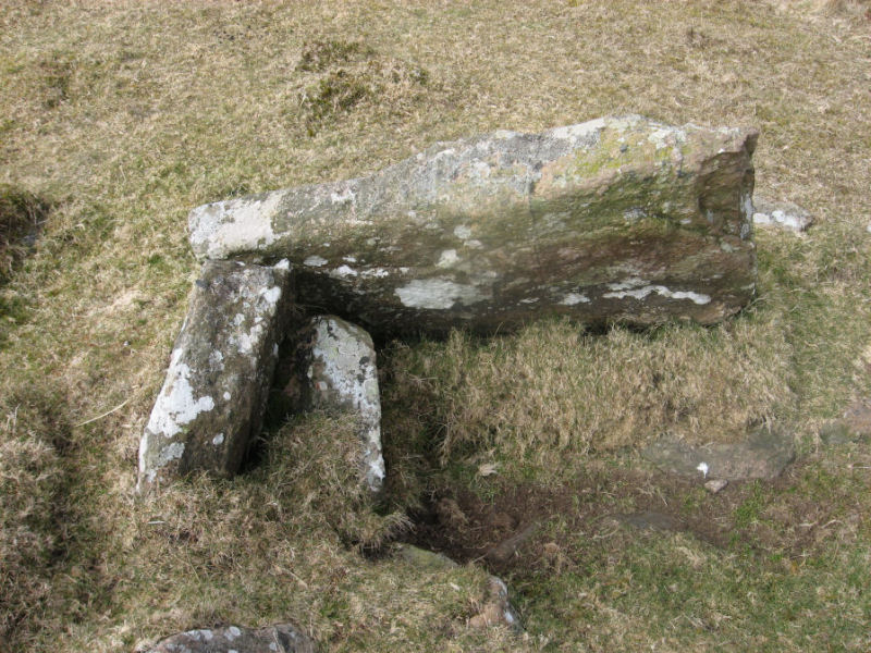 The Hickley Ridge East cist, submitted on behalf of Prehistoric Dartmoor Walks.