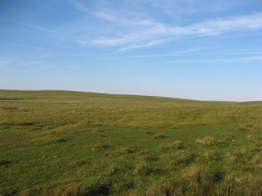 The Langstone Moor Stone Ring Cairn Circle from the Prehistoric Dartmoor Walks (PDW) website. Photograph taken 26th June 2018. 