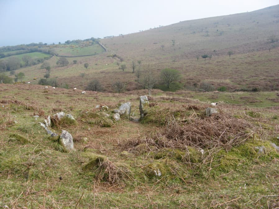 The Scad Brook Enclosed Settlement from the Prehistoric Dartmoor Walks (PDW) website. Photograph taken 22nd April 2019. 