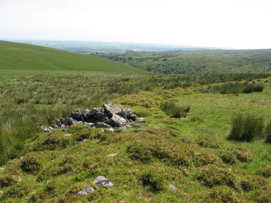 Photograph of the Yealm Steps enclosed settlement submitted on behalf of Prehistoric Dartmoor Walks. 