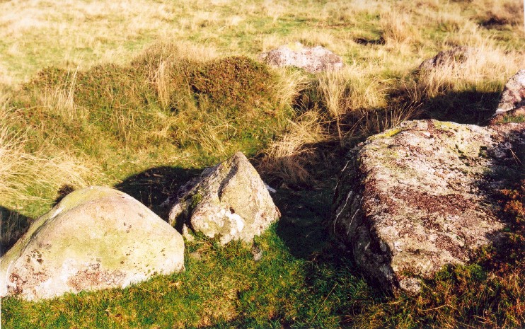 The stone on the right is believed to have been the capstone of this cairn.  It now lies half buried in bracken on the south arc of the retaining circle.