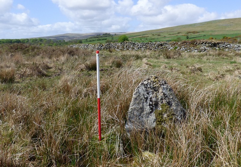 A large stone at SX63705 60521 measures 0.85m high. View from south east (Scale 1m).