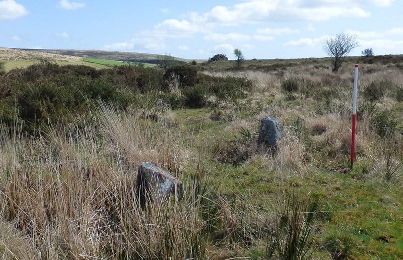 A pair of upright stones at SX 63705 60409. View from the north west (Scale 1m).