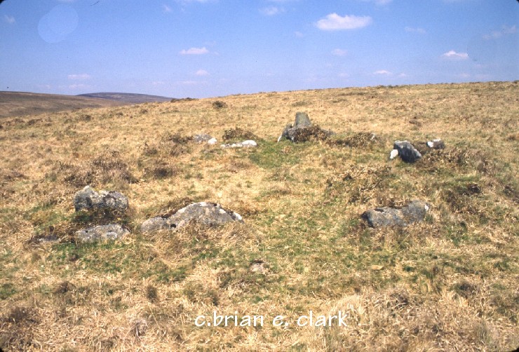 Butterdon Hill SX 655587 and surrounding area. Stone rows , burial chambers, standing stones 7 ring cairns.