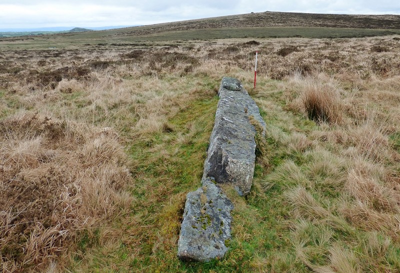 Eastern stone. A substantial fallen pillar measuring 5m long stands up to 0.56m above the surrounding ground. View from west (Scale 1m). 