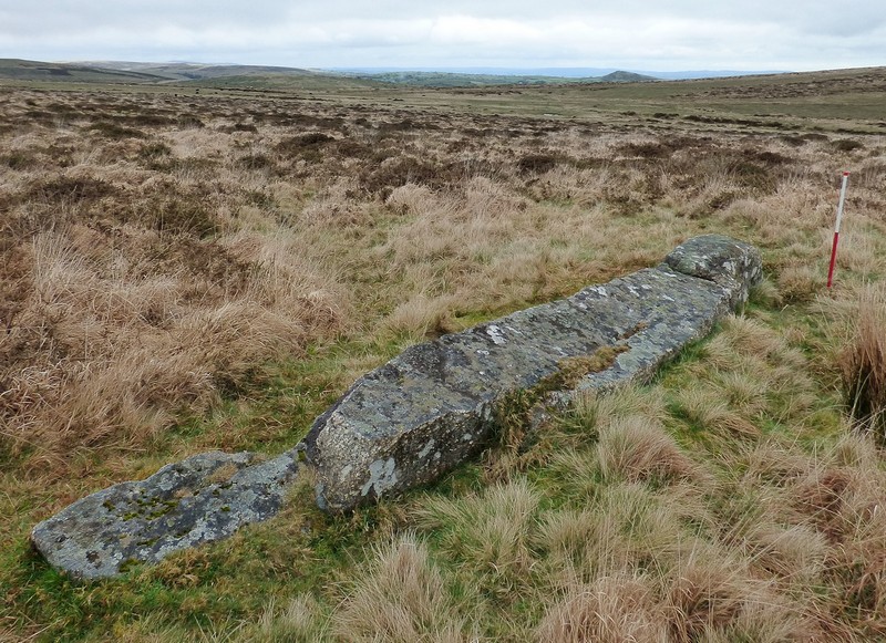 Eastern stone. View from south west (Scale 1m).
