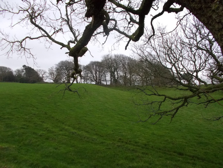 Looking south with the SW arc of the banks centre right and the raised area in the middle of the hillfort centre left.  The twisty old trees add to the ambience of the site.